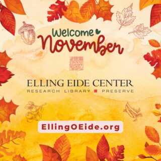 Welcome November!

#EllingEide #Sarasota #Florida #November #Fall #Autumn #Thanksgiving #Scorpio @visitsarasotacounty @srqartsalliance